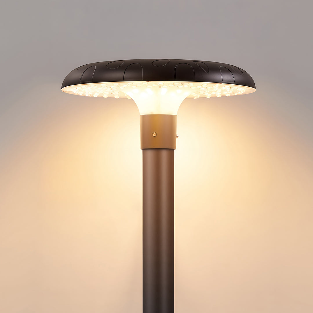 High-Pole Outdoor Residential Street Light — Die-Cast Aluminum, Solar 20W or Hardwired 50W, IP65, 3000K / 6000K, 124" Height