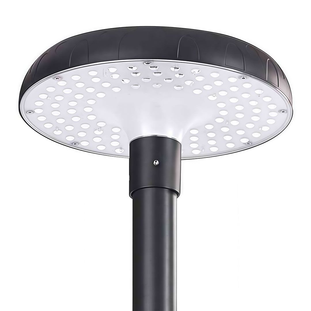 High-Pole Outdoor Residential Street Light — Die-Cast Aluminum, Solar 20W or Hardwired 50W, IP65, 3000K / 6000K, 124" Height