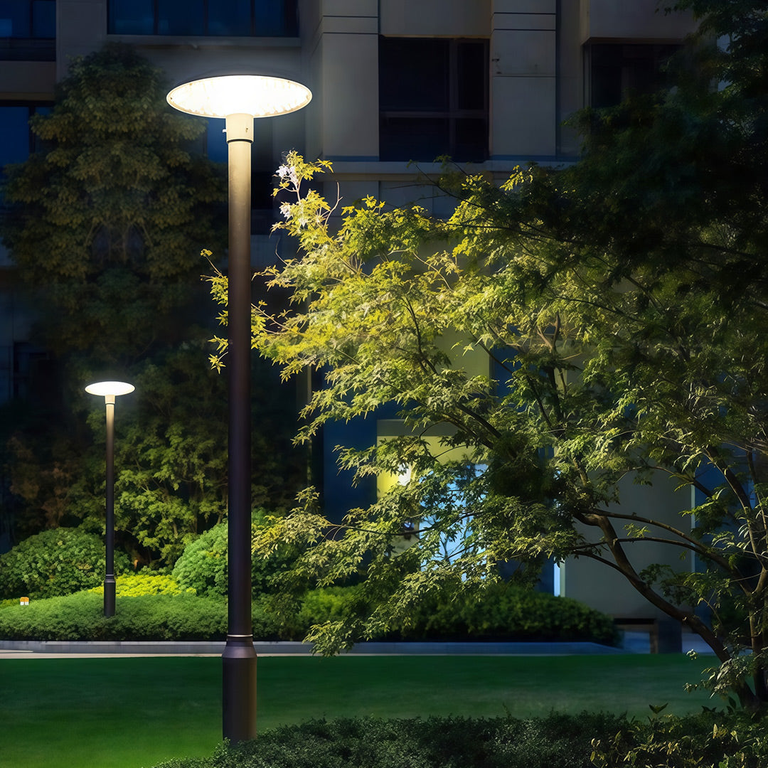 High-Pole Outdoor Residential Street Light — Die-Cast Aluminum, Solar 20W or Hardwired 50W, IP65, 3000K / 6000K, 124" Height