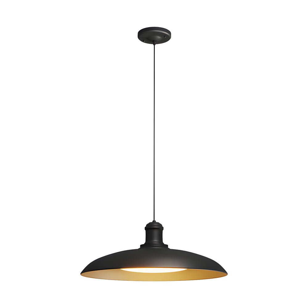Saucer Outdoor Pendant Light — Black Carbide Steel, LED, Hardwired, 9.6" or 11.4" Dia