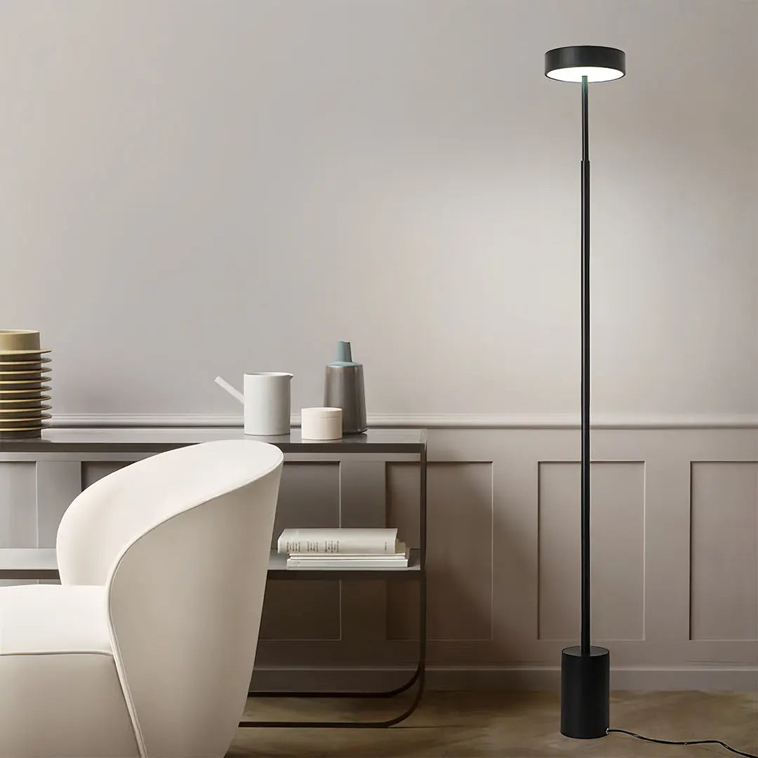 Modern Dimmable Petite Floor Lamp - Contemporary Reading Pole Light Luxe