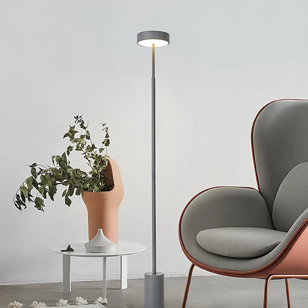 Modern Dimmable Petite Floor Lamp - Contemporary Reading Pole Light Luxe