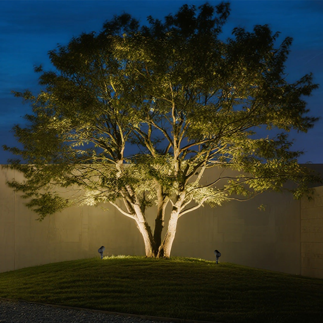 Landscape Ground Lighting with LED Tree Spotlights