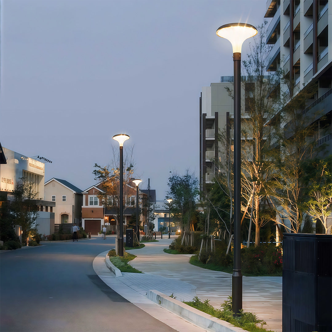 High-Pole Outdoor Street Light — Black Die-Cast Aluminum, 40W LED, Solar or Hardwired, IP65, 3000K / 6000K