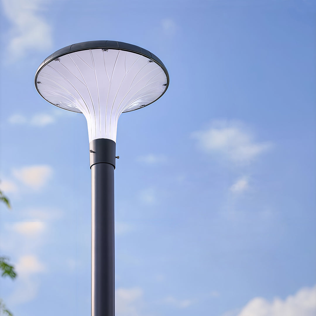 High-Pole Outdoor Street Light — Black Die-Cast Aluminum, 40W LED, Solar or Hardwired, IP65, 3000K / 6000K