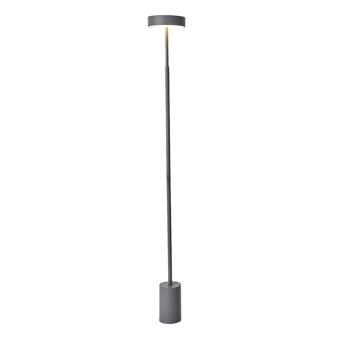 Modern Dimmable Petite Floor Lamp - Contemporary Reading Pole Light Luxe
