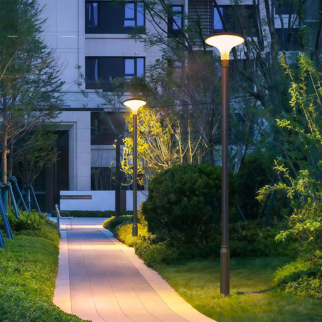 High-Pole Outdoor Street Light — Black Die-Cast Aluminum, 40W LED, Solar or Hardwired, IP65, 3000K / 6000K