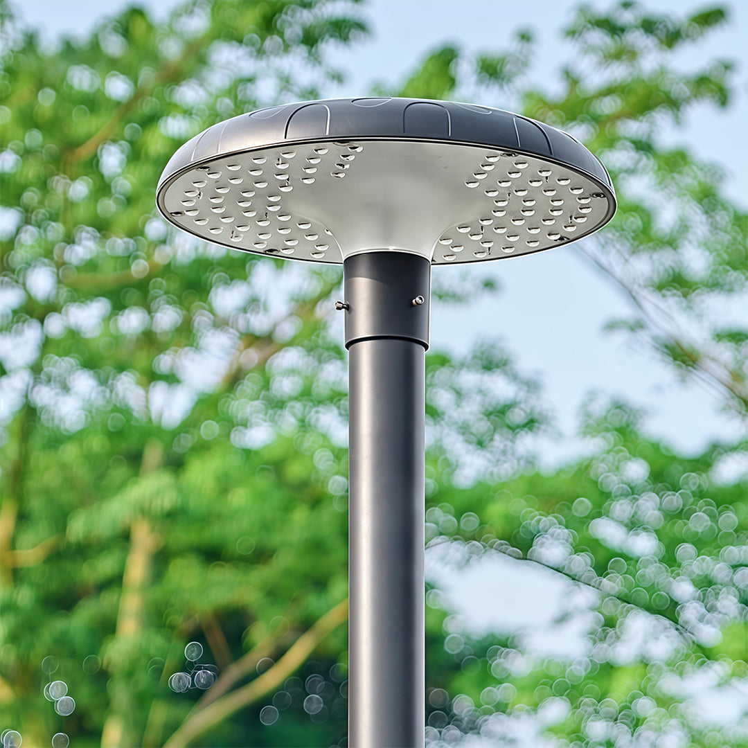 High-Pole Outdoor Residential Street Light — Die-Cast Aluminum, Solar 20W or Hardwired 50W, IP65, 3000K / 6000K, 124" Height