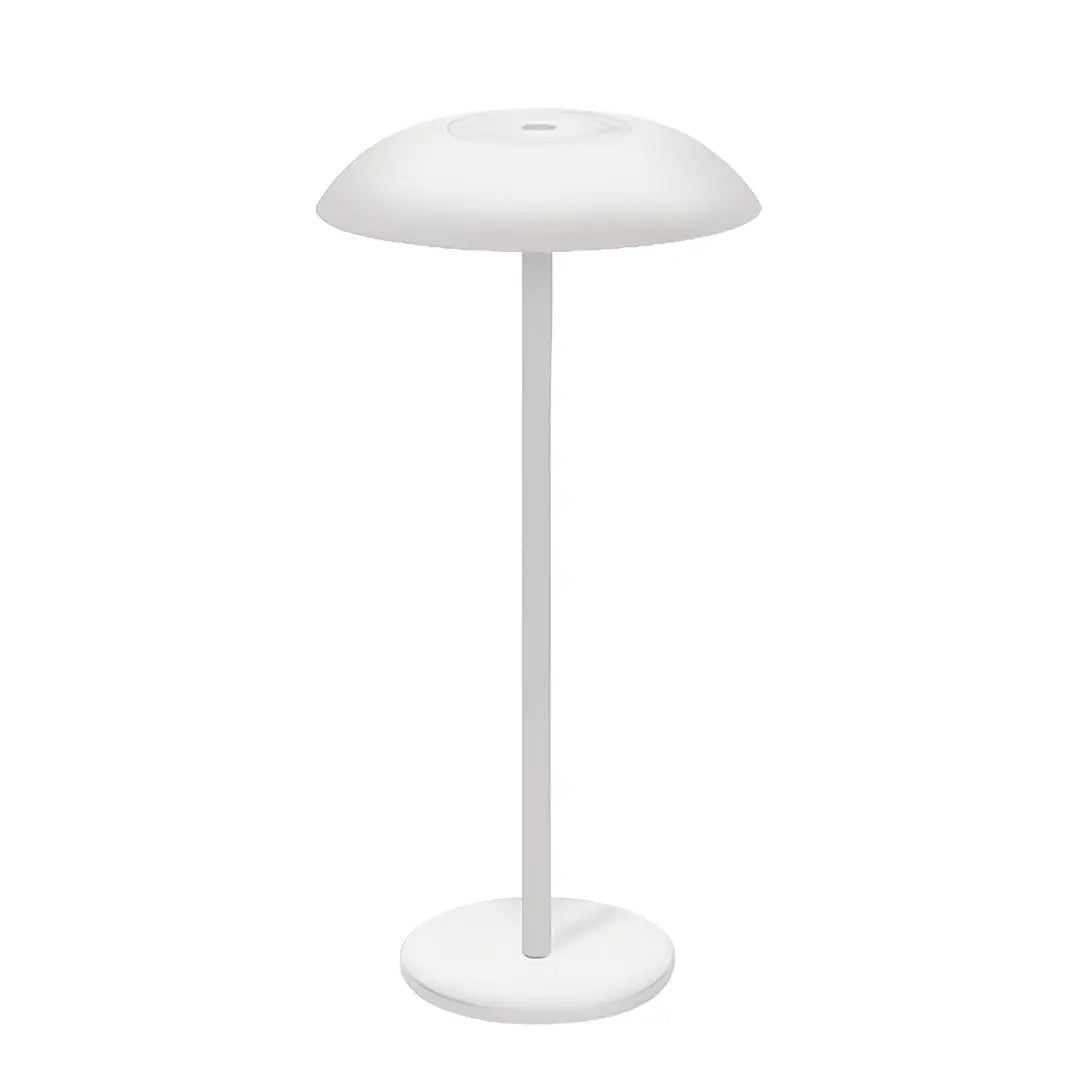 Minimalist Contemporary LED Table Lamp - Rechargeable and Dimmable Luxe