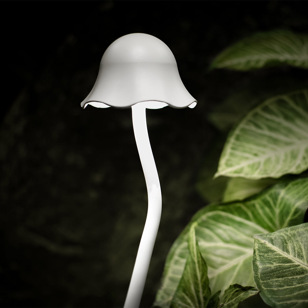 Modern LED Pathway Landscape Lights — Aluminum & Acrylic, IP65 Waterproof, 3000K Warm White, 3-Piece 24W / 6-Piece 36W